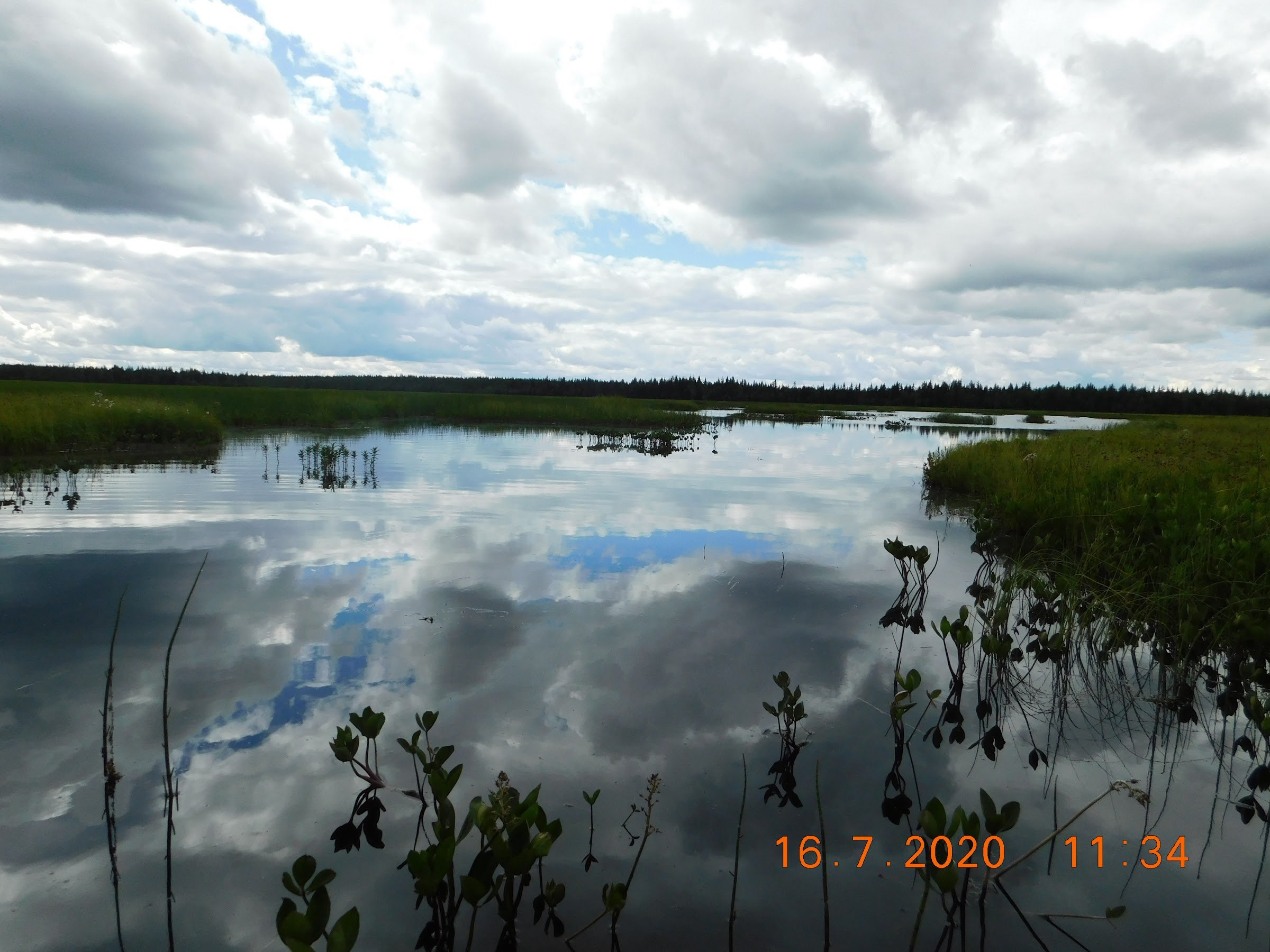 Natursafari i Abborrträsk